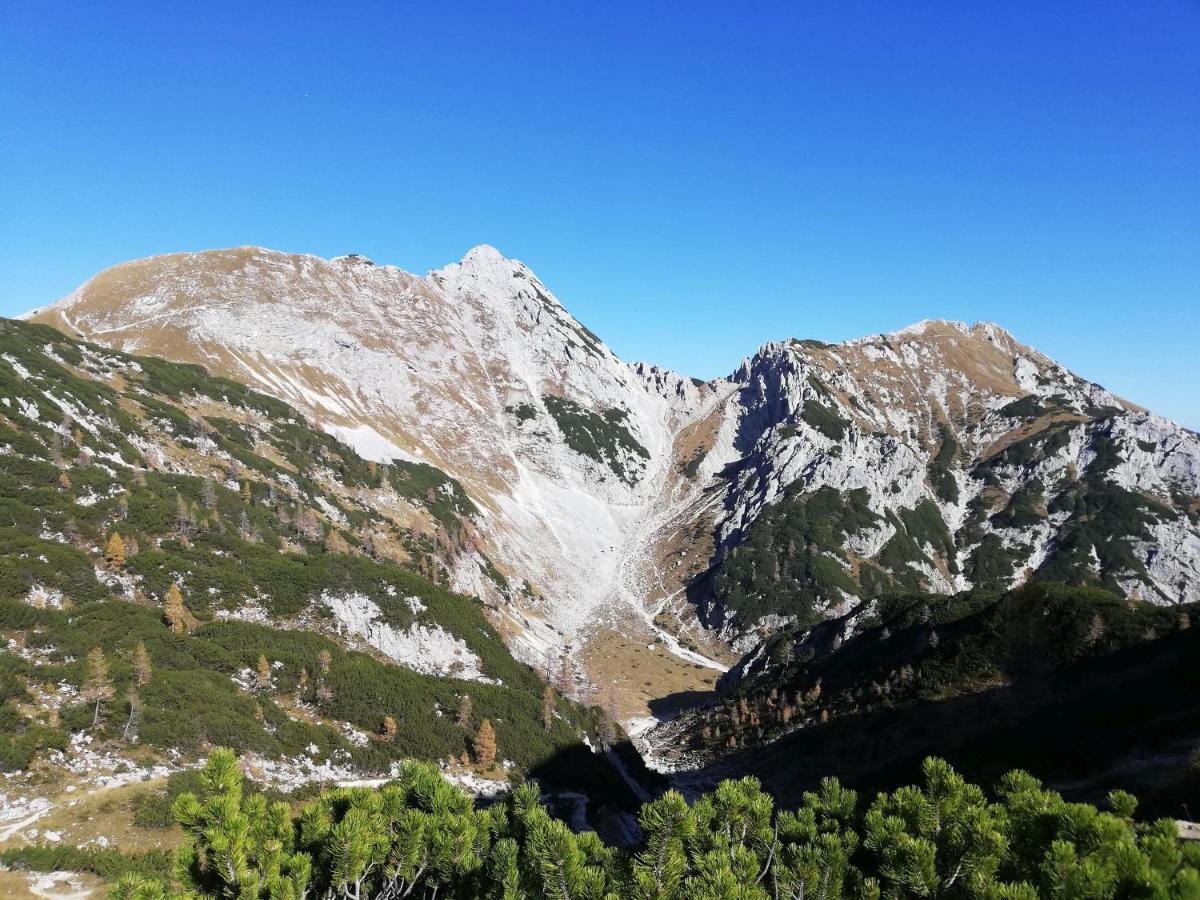 Brunarica Na Goreljeku Bohinj Zewnętrze zdjęcie