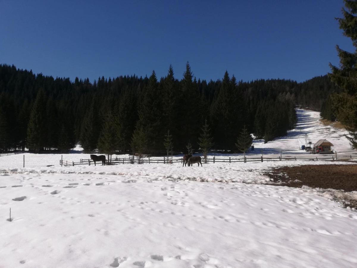Brunarica Na Goreljeku Bohinj Zewnętrze zdjęcie