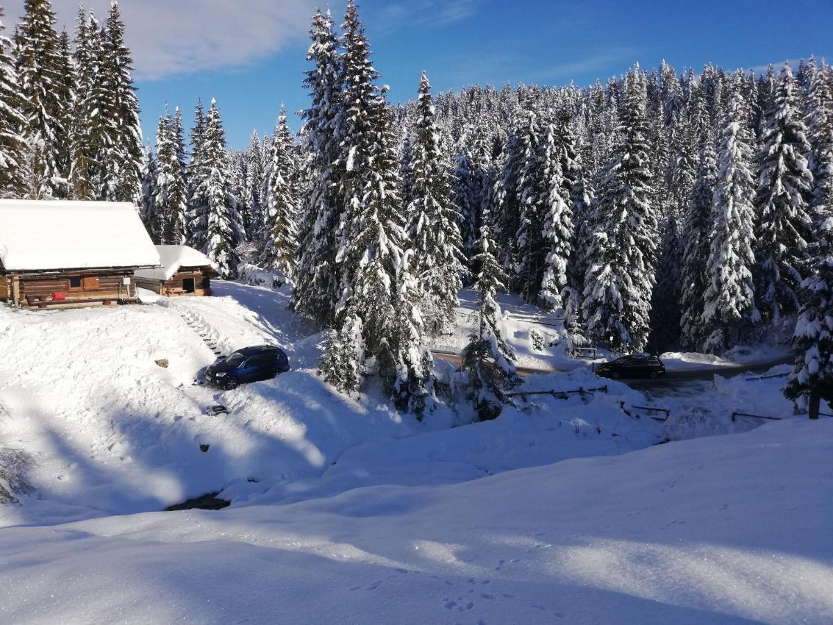 Brunarica Na Goreljeku Bohinj Zewnętrze zdjęcie