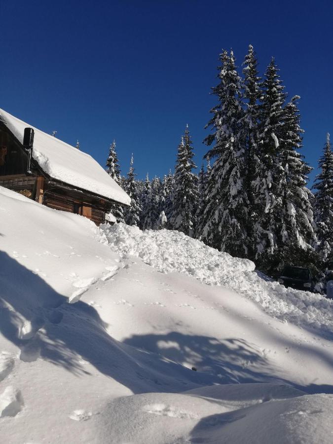 Brunarica Na Goreljeku Bohinj Zewnętrze zdjęcie