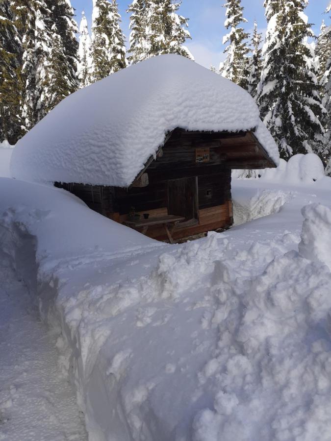 Brunarica Na Goreljeku Bohinj Zewnętrze zdjęcie