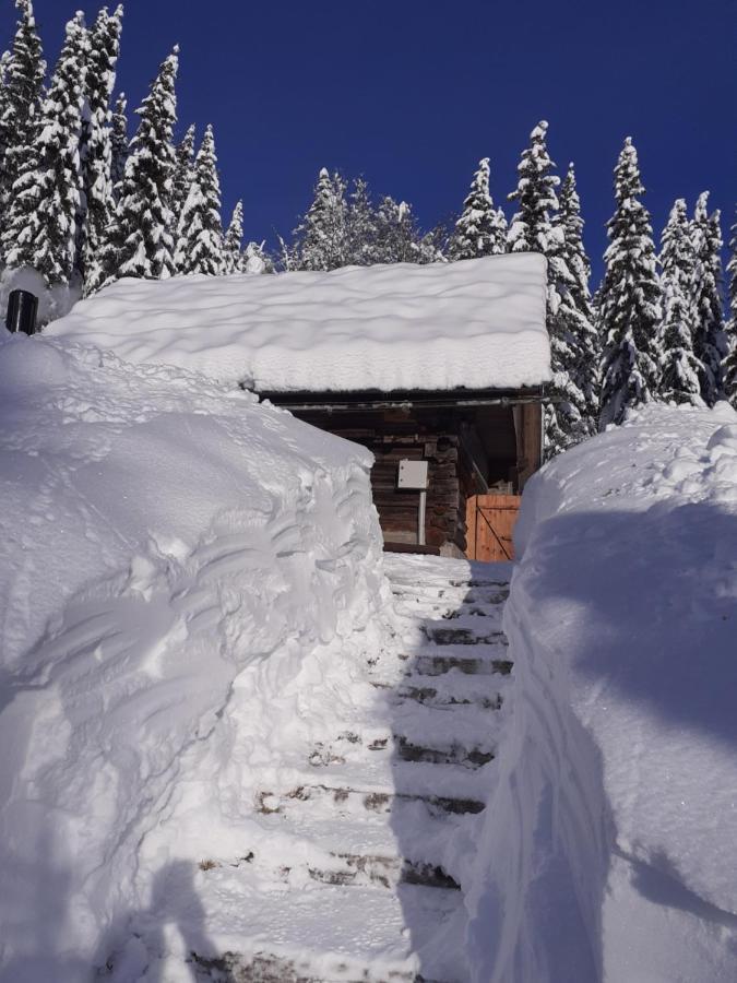 Brunarica Na Goreljeku Bohinj Zewnętrze zdjęcie