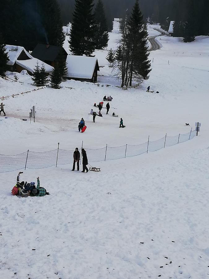 Brunarica Na Goreljeku Bohinj Zewnętrze zdjęcie
