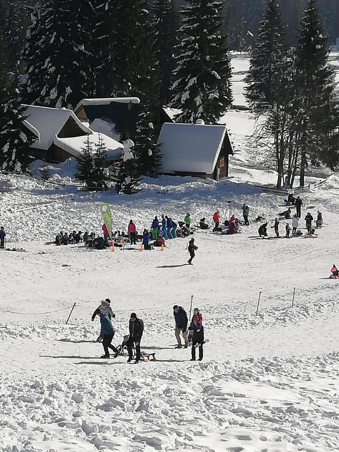 Brunarica Na Goreljeku Bohinj Zewnętrze zdjęcie