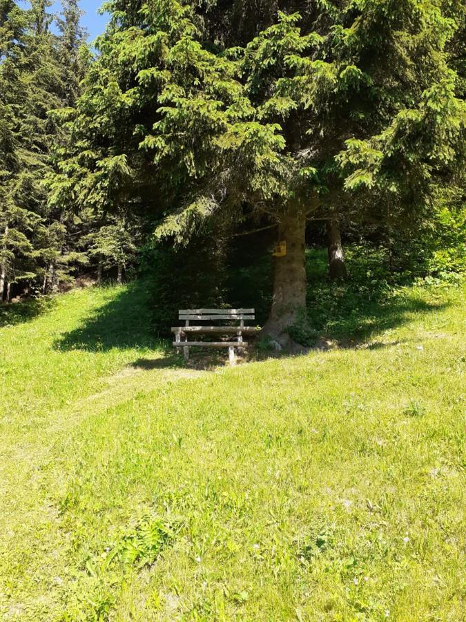 Brunarica Na Goreljeku Bohinj Zewnętrze zdjęcie