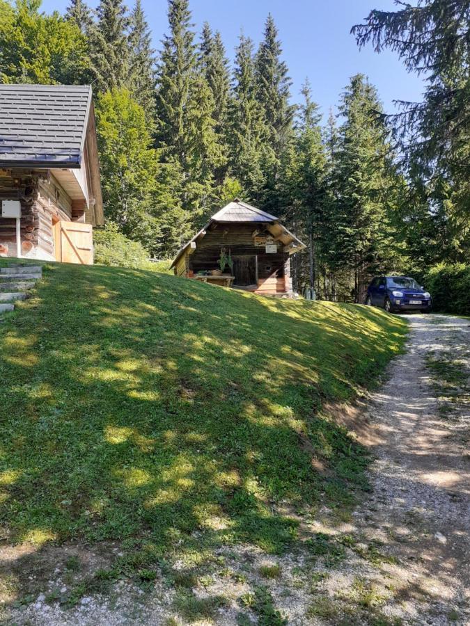 Brunarica Na Goreljeku Bohinj Zewnętrze zdjęcie