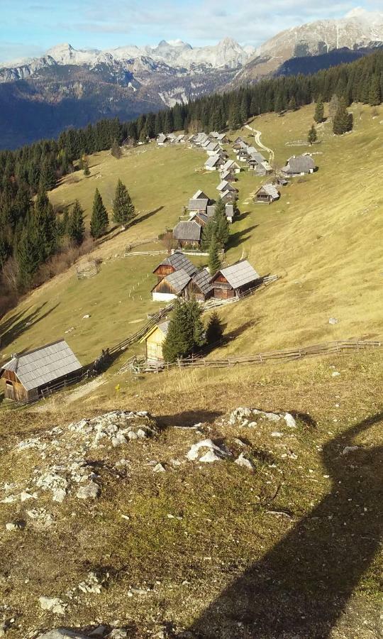 Brunarica Na Goreljeku Bohinj Zewnętrze zdjęcie